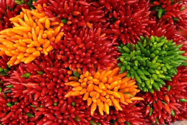 Rote gelbe grüne Paprika — Stockfoto