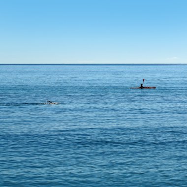 Yüzme ve denizde kürek insanlar