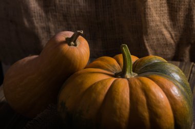 İki olgun su kabakları 