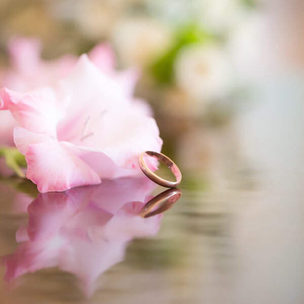 Pink gladiolus with golden ring