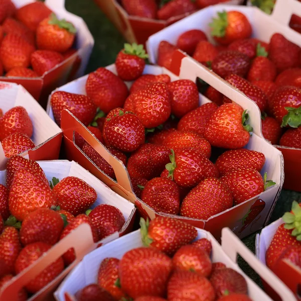 Owoce czerwone truskawki na sprzedaż — Zdjęcie stockowe