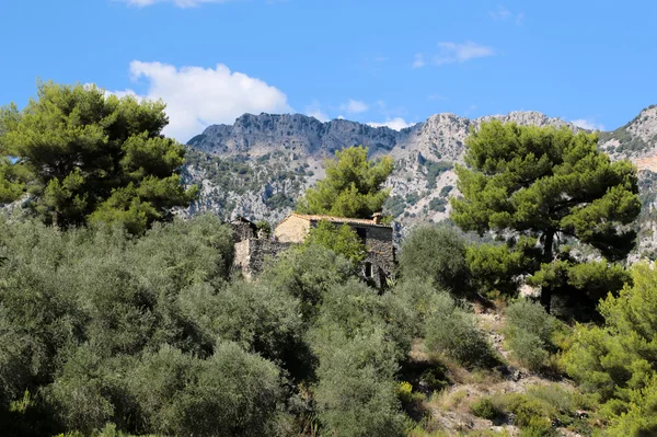 Casa de piedra escondite entre los árboles —  Fotos de Stock