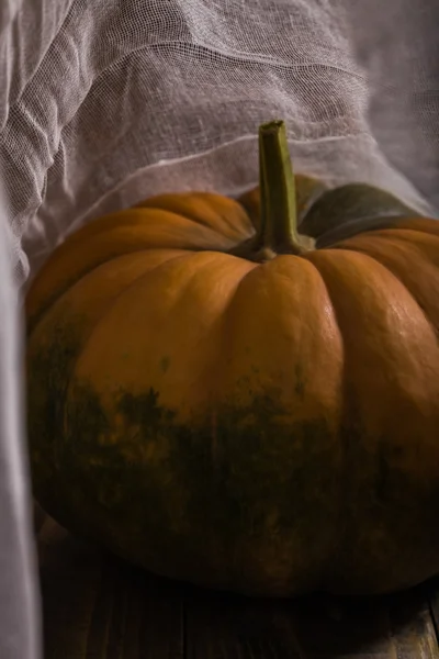 Calabaza con mantel de queso —  Fotos de Stock