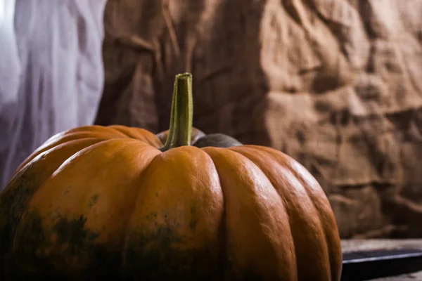 Ploché kulaté cucurbita — Stock fotografie