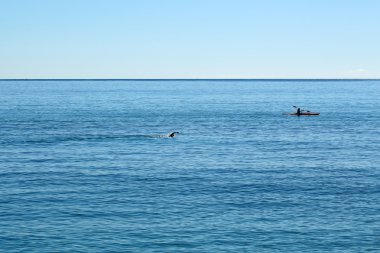 Yüzme ve denizde kürek insanlar