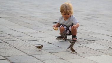 Serçeler besleme erkek bebek