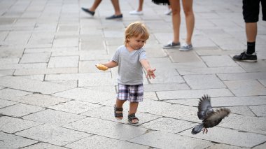 Güvercin besleme erkek bebek