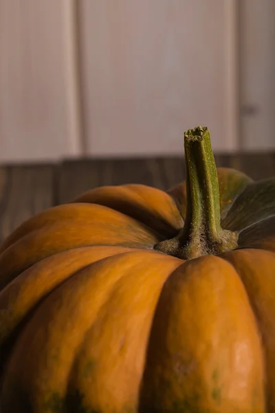 Parte superior de la calabaza —  Fotos de Stock