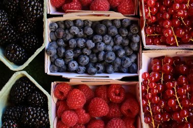 Böğürtlen böğürtlen ahududu kırmızı kuş üzümü