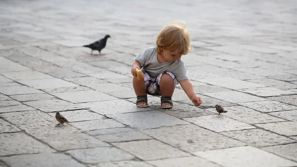 Baby boy feeding birds — Stock Photo, Image