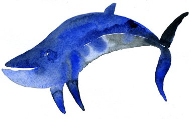 Mavi balina illüstrasyon