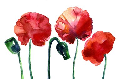 Üç güzel haşhaş dizi