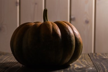 Yuvarlak kesimli cucurbita