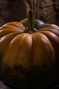 Turuncu büyük cucurbita