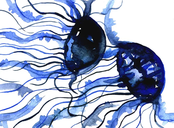 Illustrazione delle meduse blu — Foto Stock