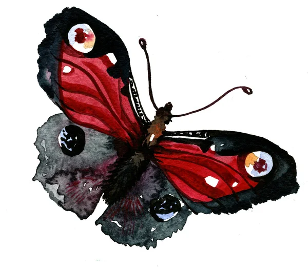 Ładny motyl ilustracja — Zdjęcie stockowe