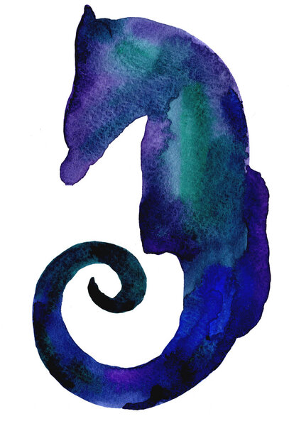 Illustration of watercolor seahorse