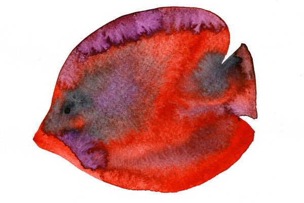 watercolor illustration of fish