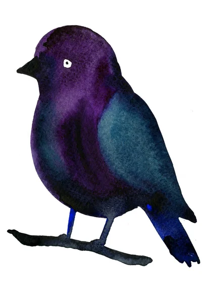 Ακουαρέλα απεικόνιση του πουλιού — Φωτογραφία Αρχείου