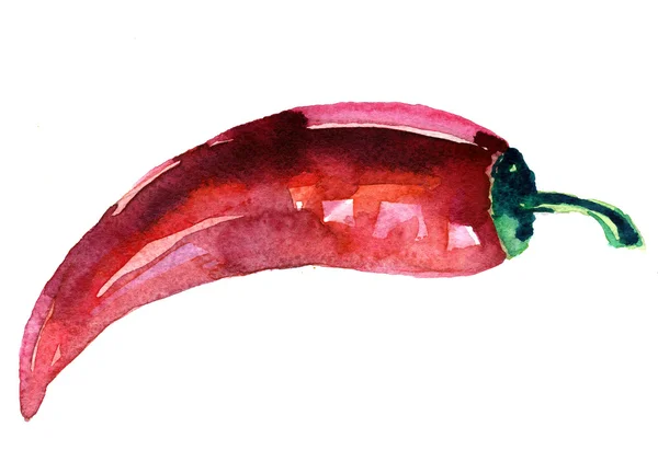 Ilustracja odręczne watercolo chili Pepper — Zdjęcie stockowe