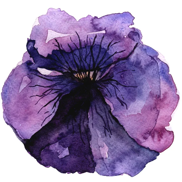 Beautifull violet pansy illustration — Stock Photo, Image