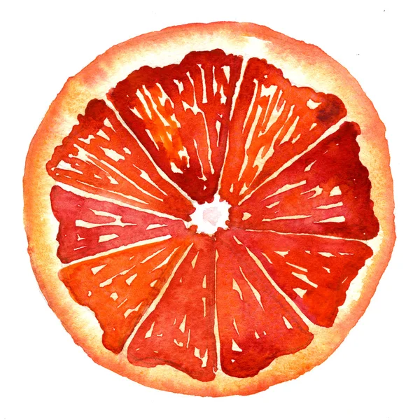 Akwarela ilustracja Orange — Zdjęcie stockowe