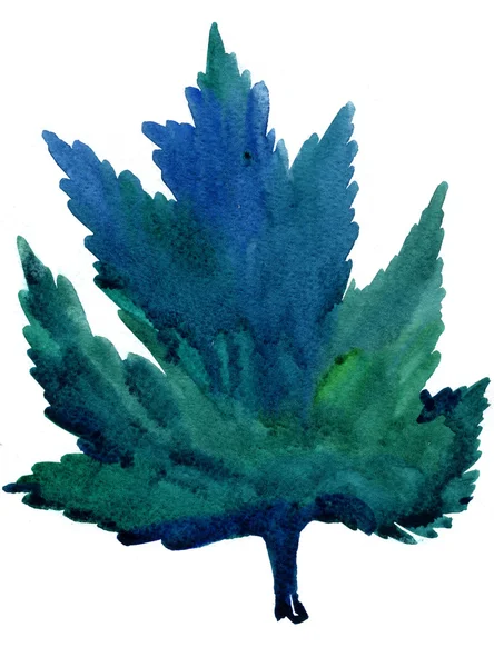 Greening maple leaf aquarelle — Zdjęcie stockowe