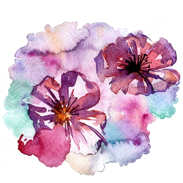 Flores de flor agradáveis aquarelle — Fotografia de Stock
