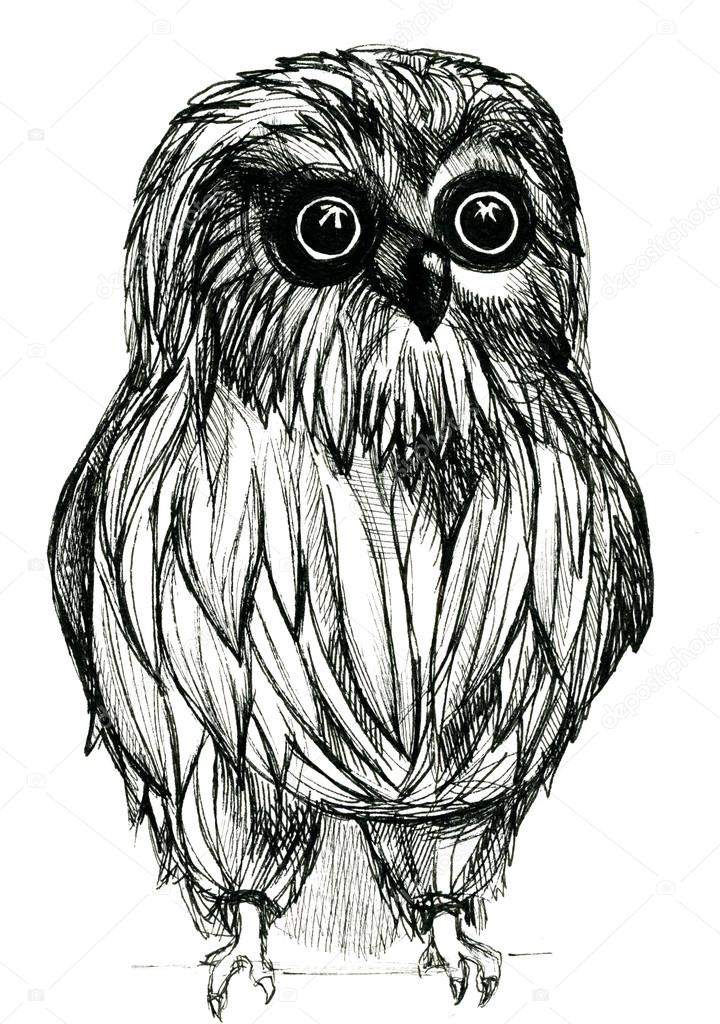 owl pen and ink drawing zdja cie stockowe a c tverdohlib com 99887432 closeup pleasing artistic black and white owl guardant pen and ink drawing freehand sketch texture paper over white background vertical picture zdja cie