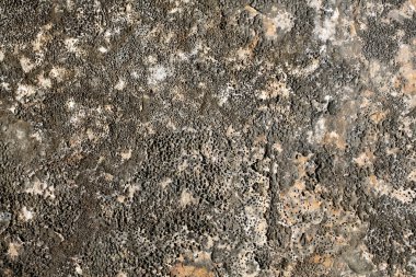 Beach taşlar ve kayalar 