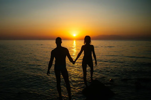 Silhouette Of Sensual Couple Stands In Water On Beach With Sunset Above Sea Surface On Background Couple In Love On Romantic Date Holds Hands In Evening At Seashore Defocused Hapiness Silhouette Of Sensual Couple Stands In Water On Beach With Sunset Above Sea Surface On Background Couple In Love On Romantic Date Holds Hands In Evening At Seashore Defocused Hapiness