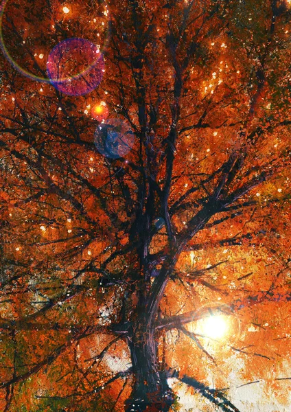 Осіннє дерево і червоне листя в сонячному промені — стокове фото