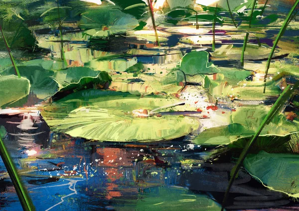 Havuzda güzel lotus yaprakları — Stok fotoğraf