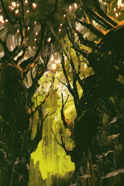珍しい木が神秘的な森 — ストック写真