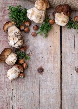 mantar ceps, fındık ve otlar. Yukarıdaki boşaltmak