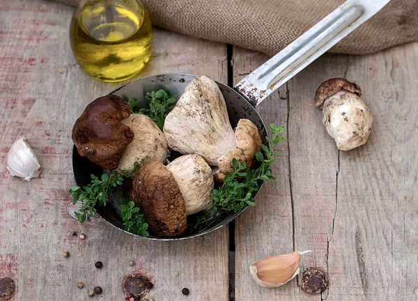 Paddestoelen ceps met kruiden in een koekepan — Stockfoto