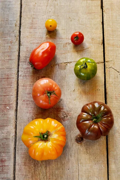 不同类型的西红柿 — 图库照片