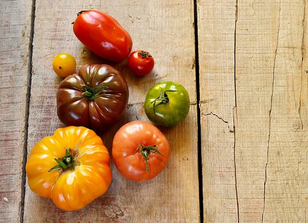 Verschillende soorten tomaten — Stockfoto