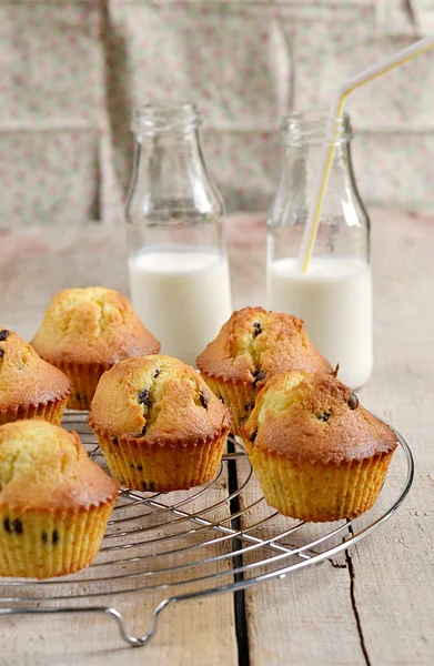 Chocolate chips muffins with milk — Stock Photo, Image