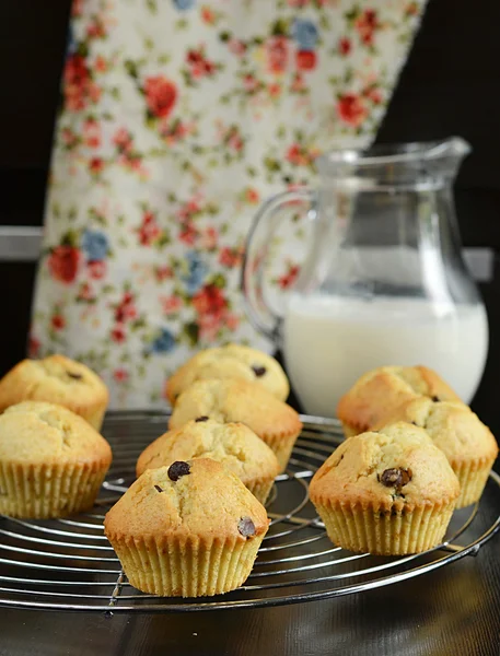 Chocolate chip muffins with milk — Stock Photo, Image