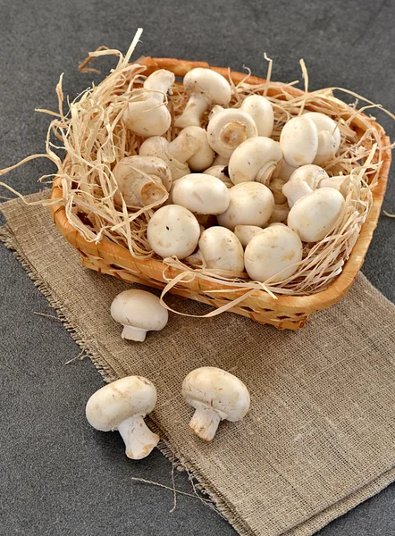 Champignons in een mand — Stockfoto