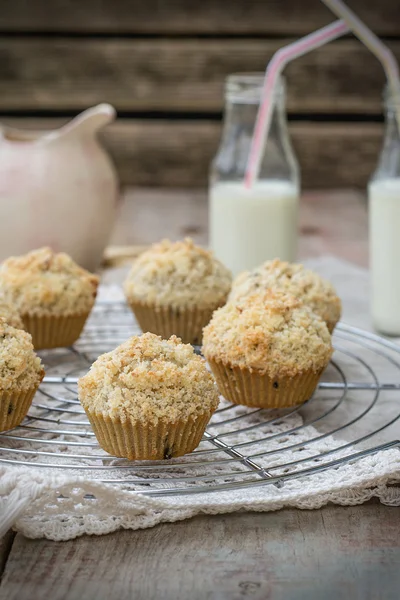 Magdalenas con virutas de chocolate con streusel de coco —  Fotos de Stock