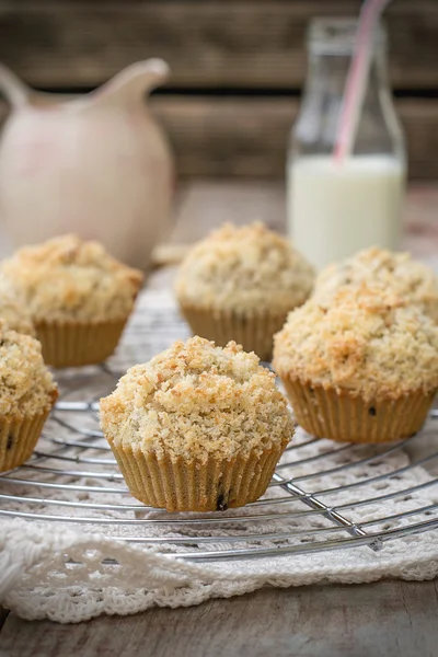 Chocolate chip muffins with coconut streusel — Stock Photo, Image