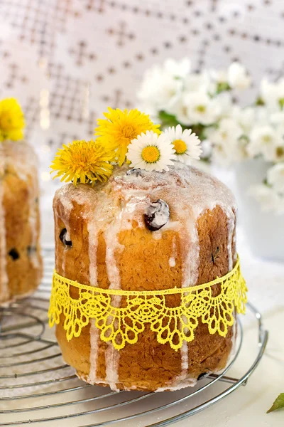 Orosz Húsvét sütemény Kulich mazsola és a szárított cseresznye — Stock Fotó