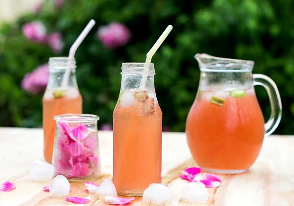 Rabarber hibiskus iste med rosenblad i trädgården Stockfoto