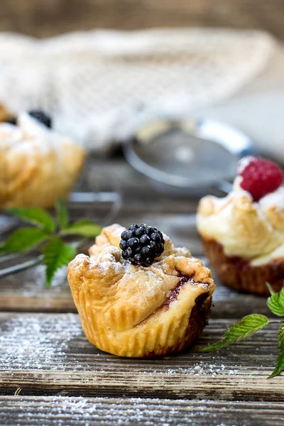 Framboos en blackberry taarten met chocolade — Stockfoto