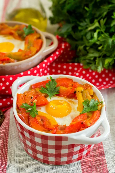 Baskiska maträtt piperade med paprika och tomater — Stockfoto