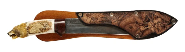 Kılıç kını ile avcılık bıçak — Stok fotoğraf