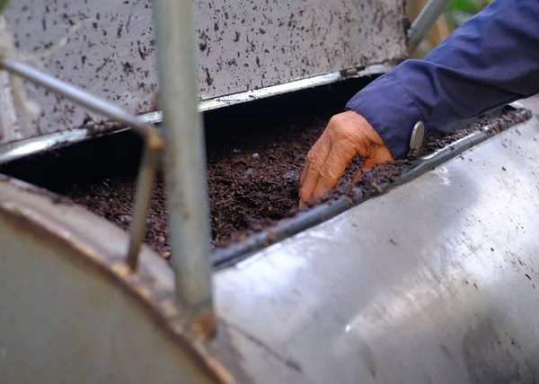 A farmer\'s hand grabbing and inspecting a pile of compost, made from leftover food and leaves, in a metal barrel used for mixing the compost together.