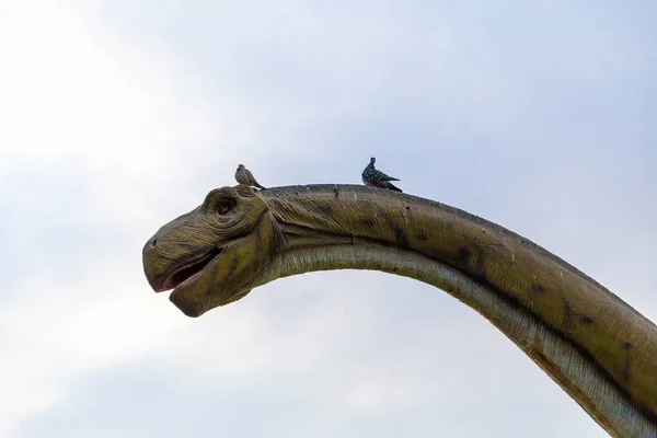 BAE, DUBAI, CIRCA 2021: Üzerinde güvercinler dinlenen Brontosaurus kafası, mavi gökyüzü arka planı. Eskiye karşı yenilik kavramı.